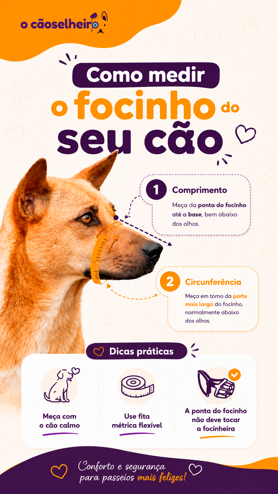 Como medir o focinho do cão: comprimento e circunferência