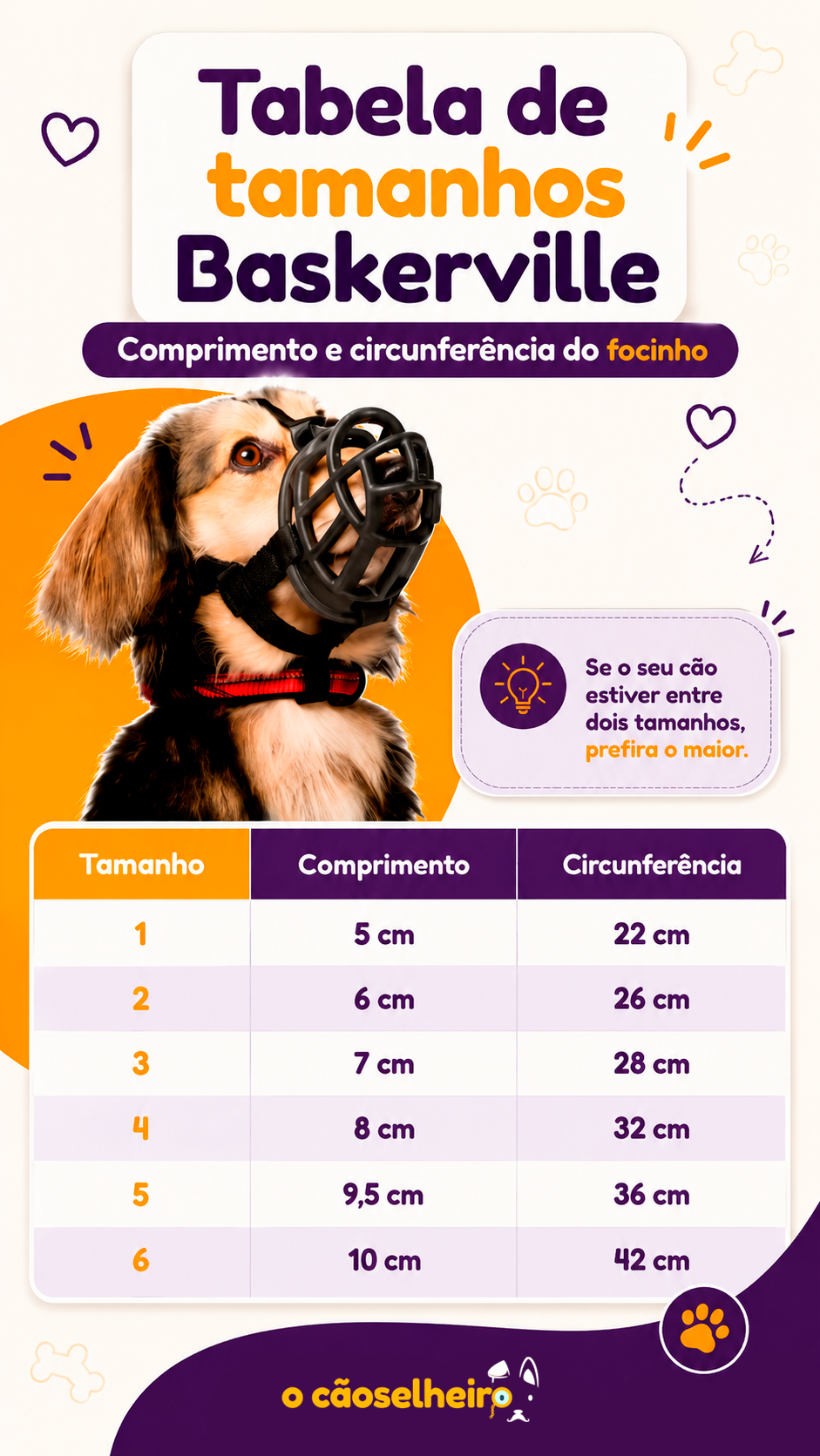 Tabela de tamanhos da focinheira Baskerville Ultra Muzzle: comprimento e circunferência máximos do focinho