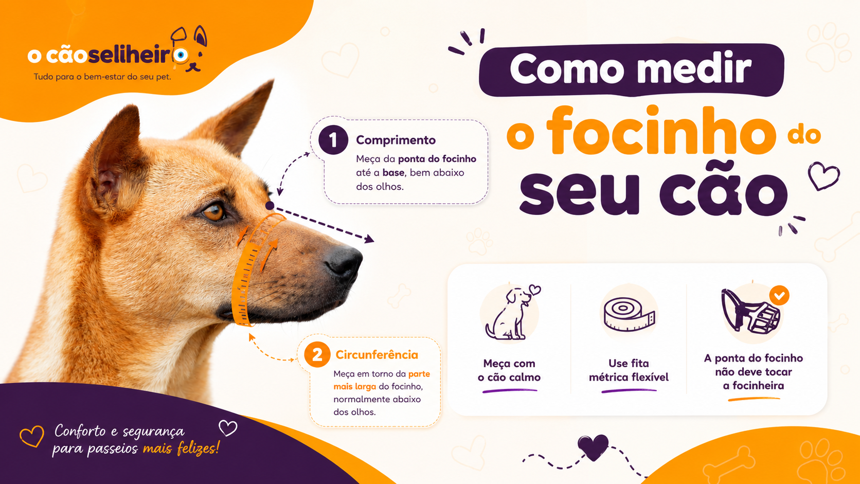 Como medir o focinho do cão: comprimento e circunferência