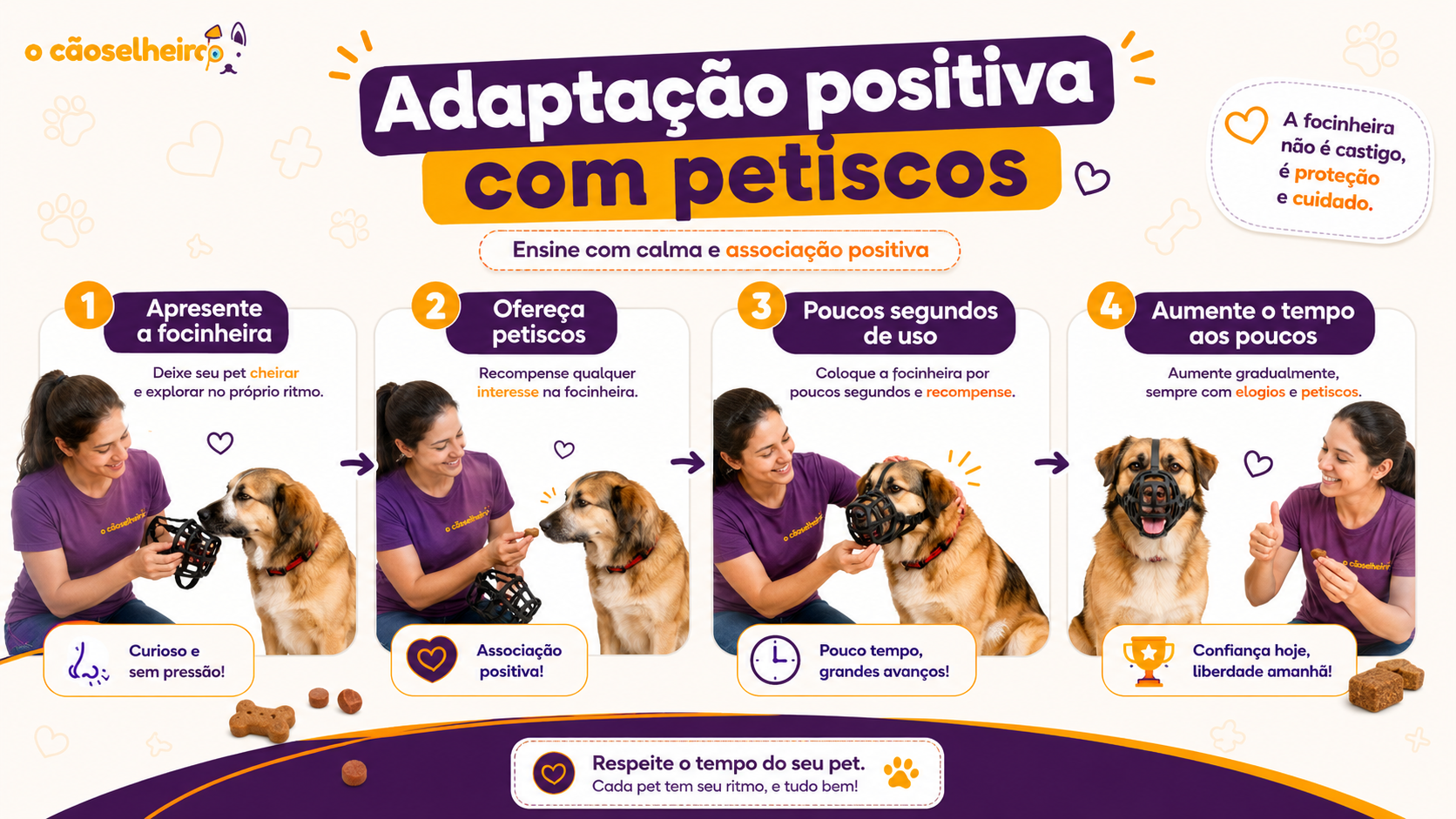 Adaptação positiva com petiscos: apresente, ofereça petiscos, poucos segundos de uso e aumente o tempo