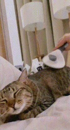 Peine para perros y gatos FurGroop Pro - Open De Dor