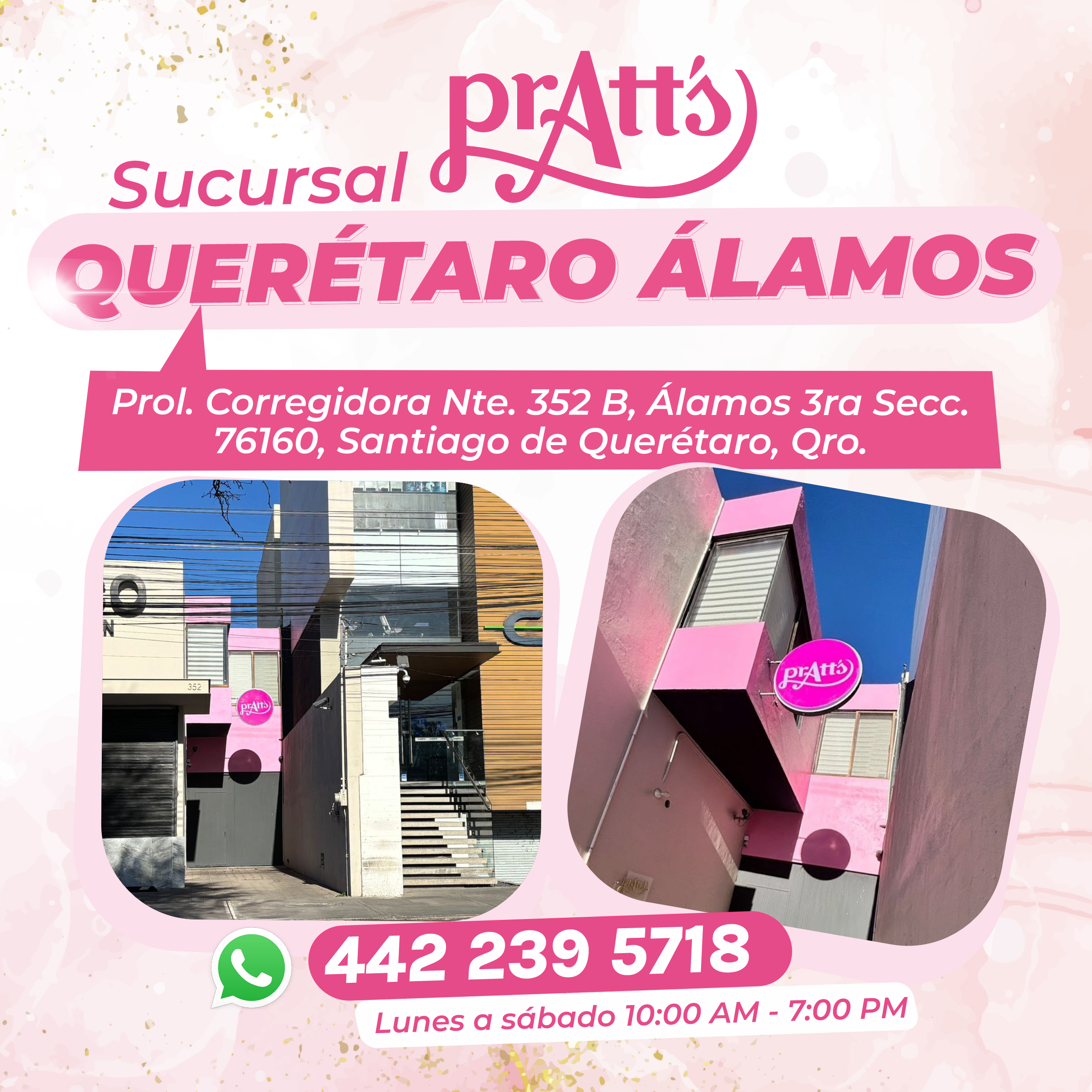 Imagen página web Querétaro Álamos