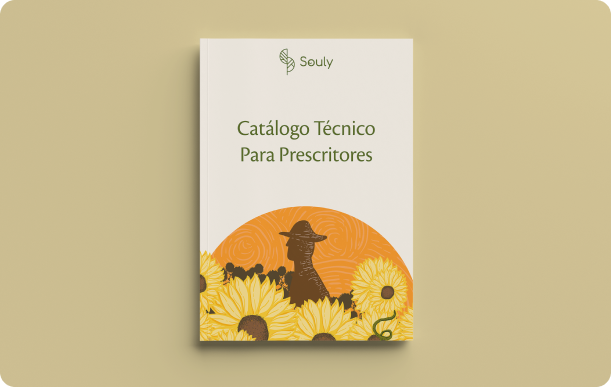 Catalogo