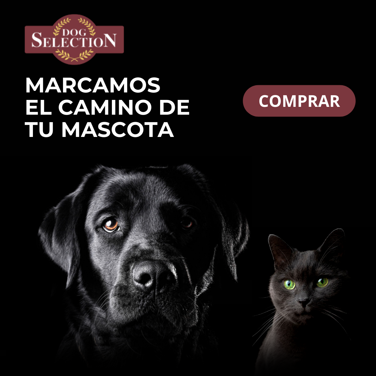 Publicidad