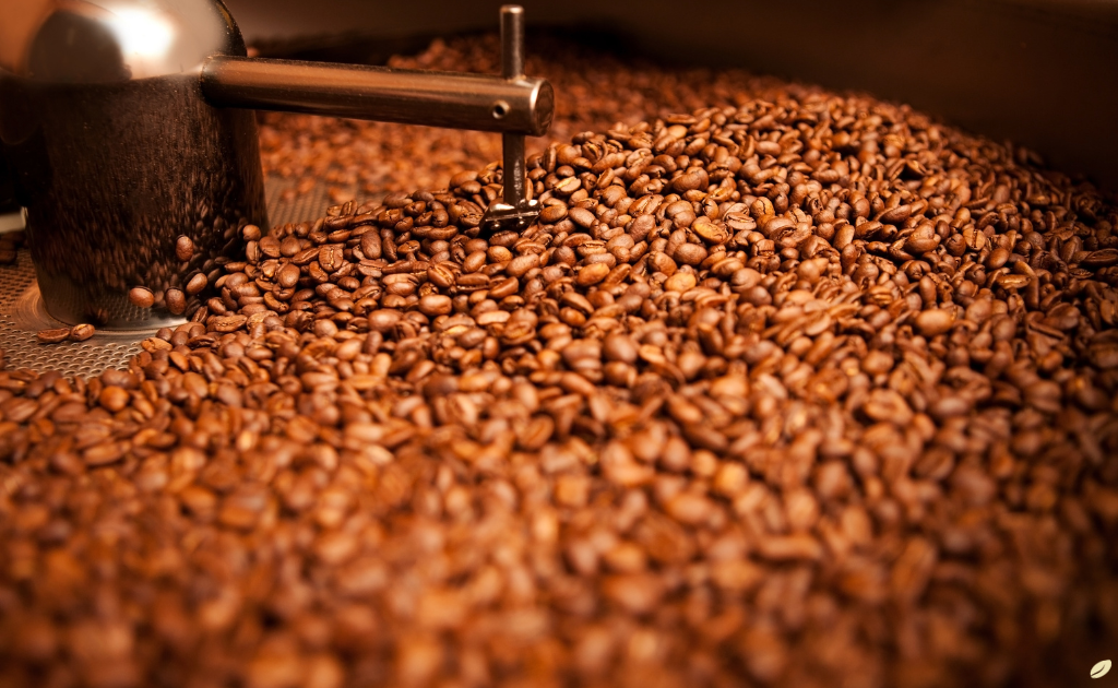 Microtorrefação Izappia Cafés