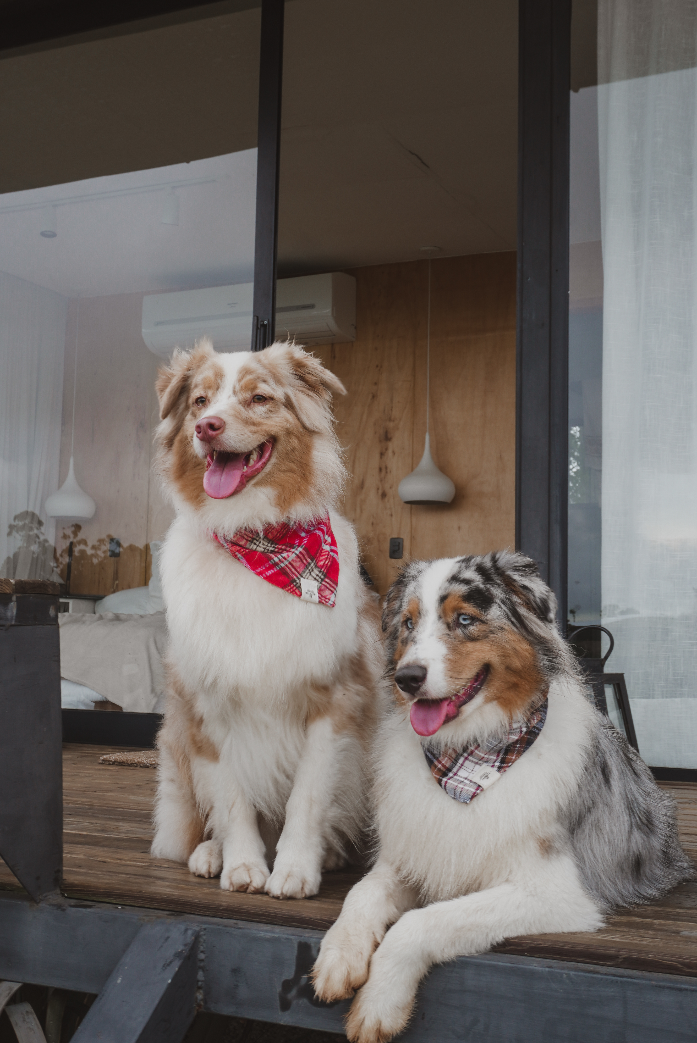 Banner de Lobito Handmades