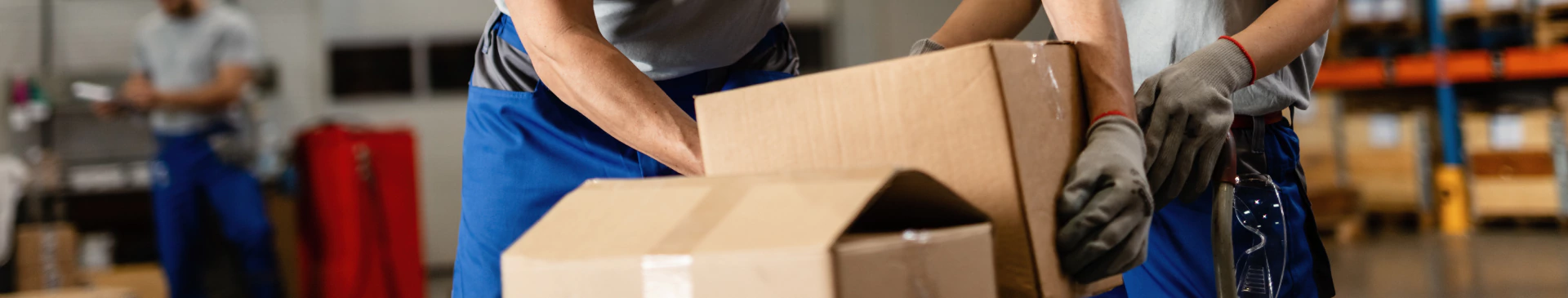 Banner de la categoría Mayorista