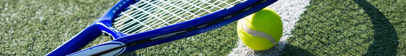 Banner de la categoría Tenis