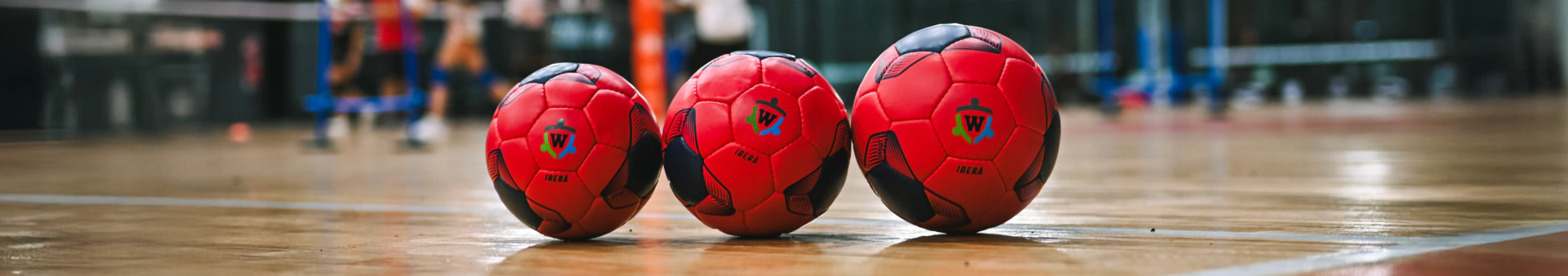 Banner de la categoría Handball