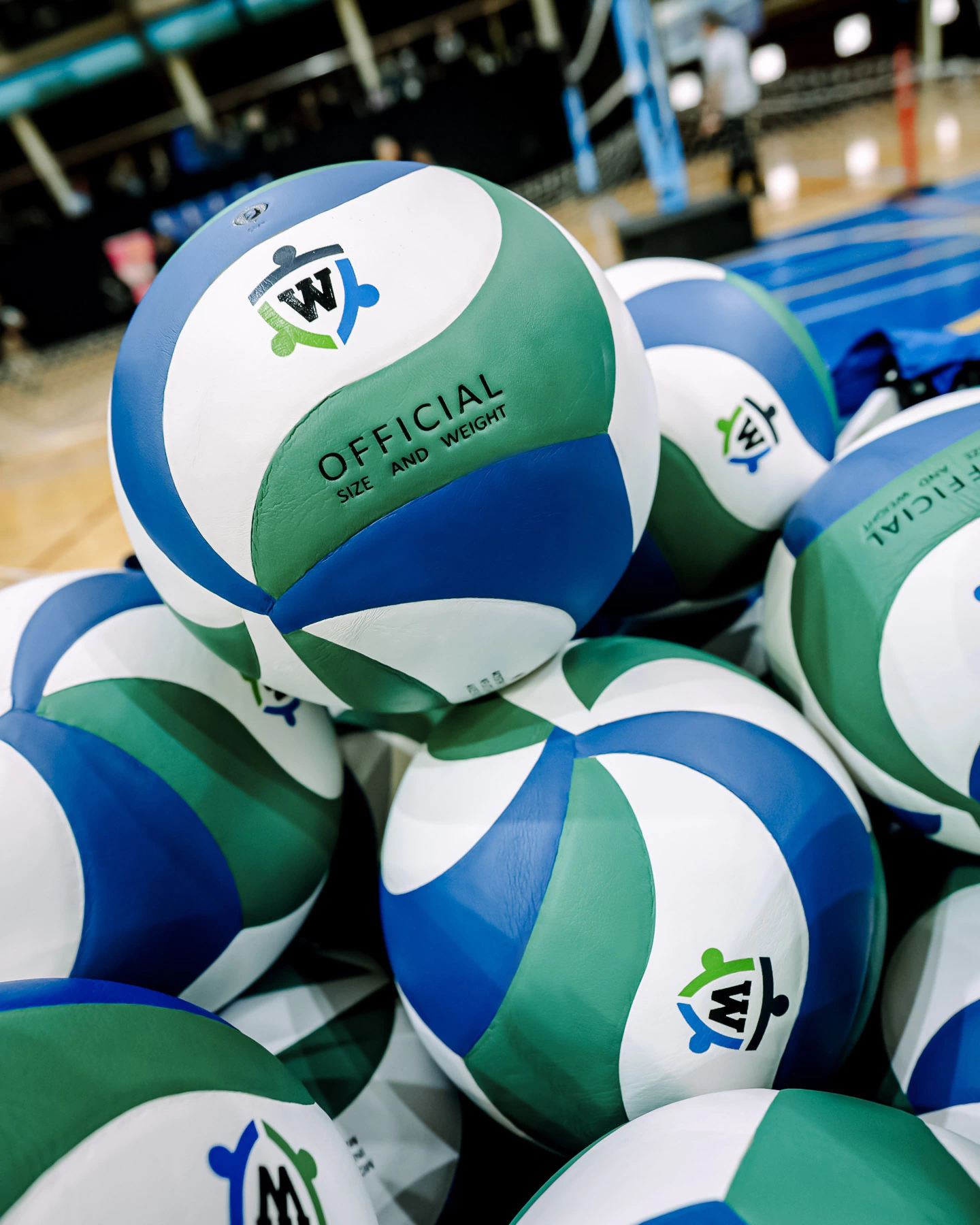 Banner de la categoría Vóley