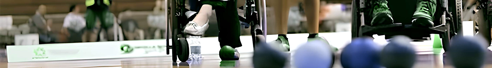 Banner de la categoría Bochas y Boccias