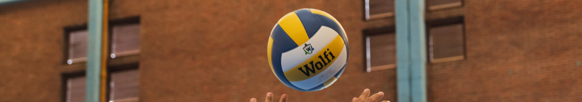 Banner de la categoría Todo en Voley