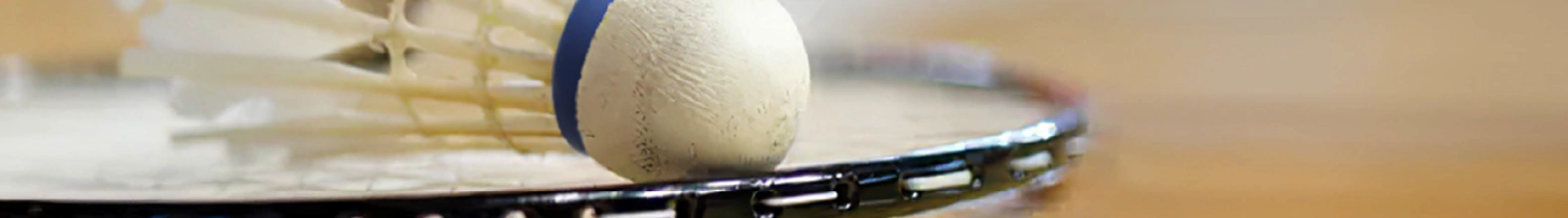 Banner de la categoría Badminton