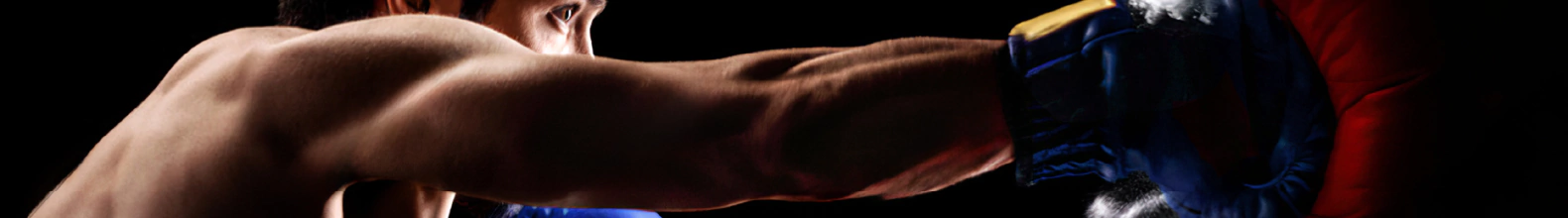 Banner de la categoría Boxeo