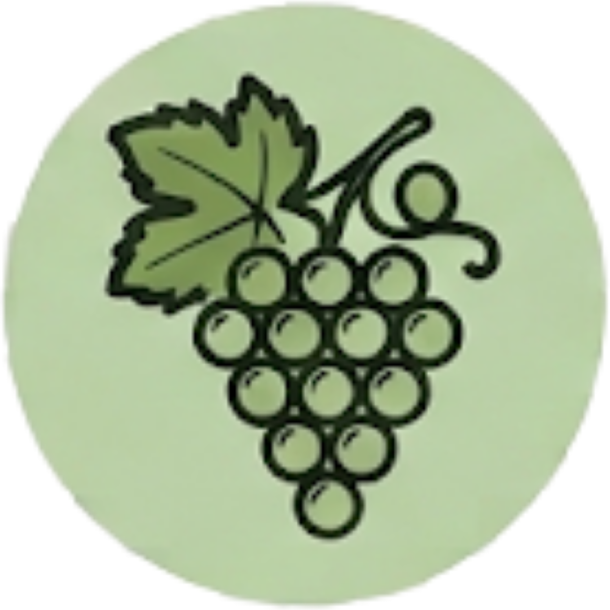 Uva (Casta)