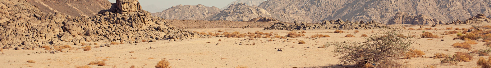 Banner da categoria Coleção Desert