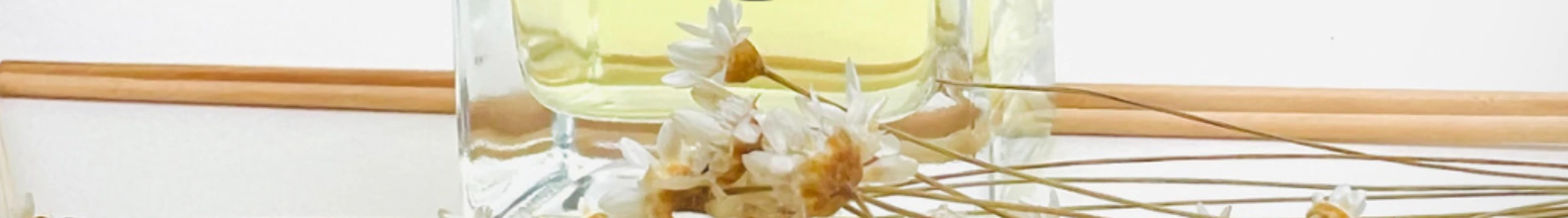 Banner da categoria Difusores de Ambiente