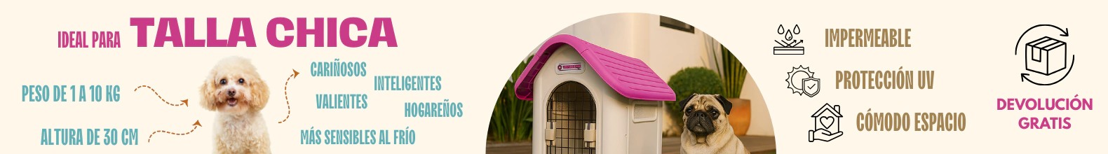 Banner de la categoría Casas Chicas