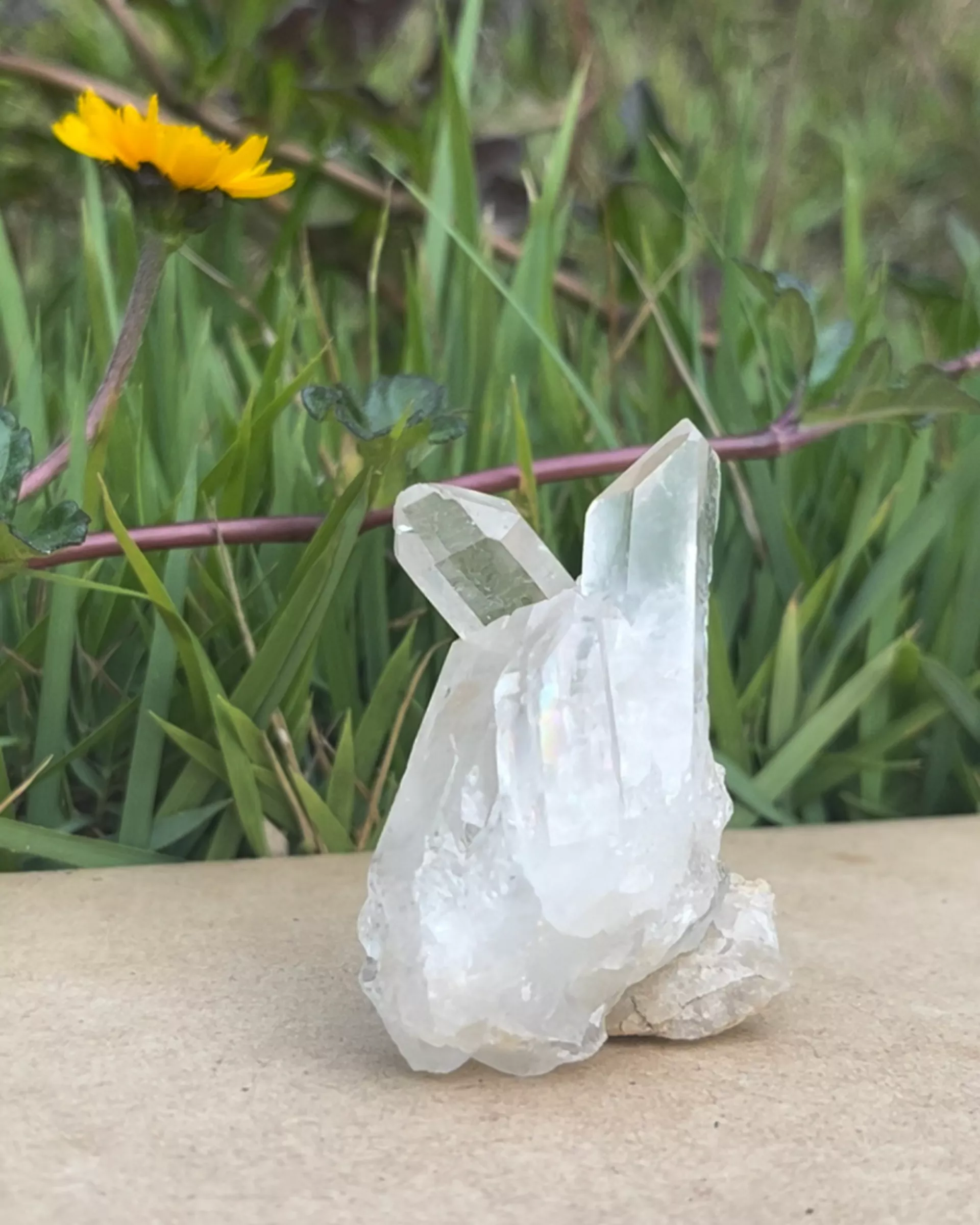 Banner da categoria Cristais naturais