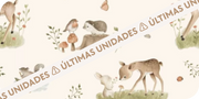 Segredos do Bosque