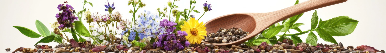 Banner da categoria Linha Gunas 