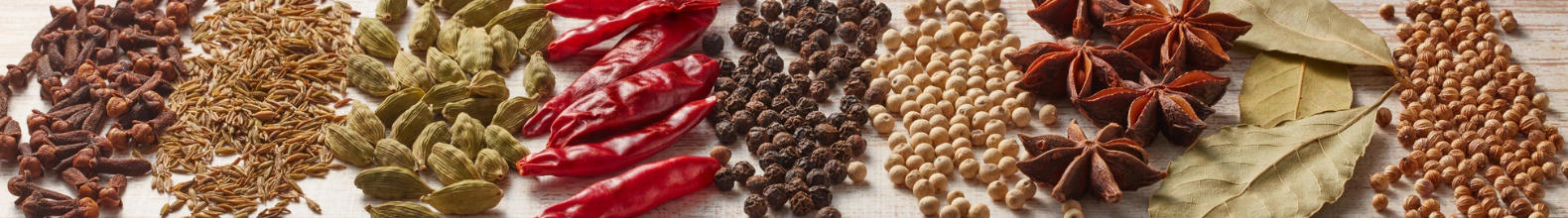 Banner da categoria Linha Ayurveda