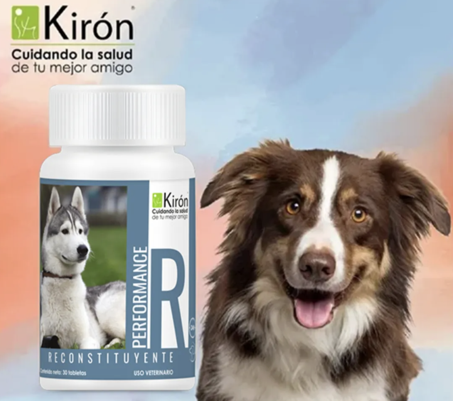 KIRON PERFORMANCE R - Suplemento Multivitamínico para Perros Activos