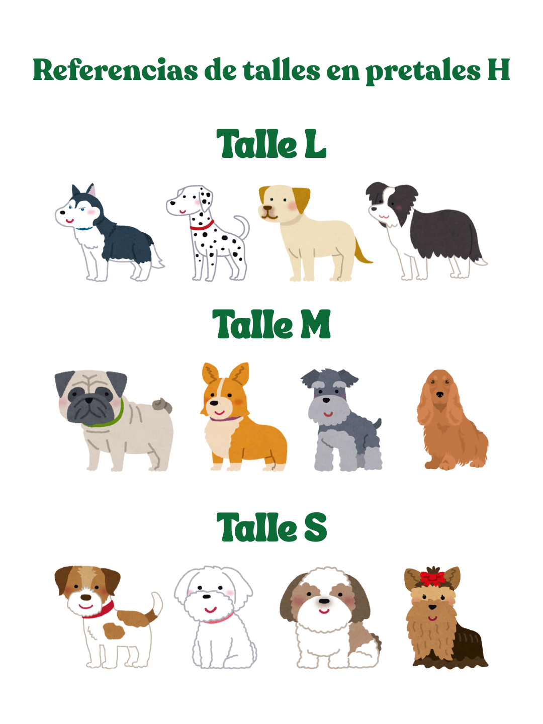 Referencias de talles