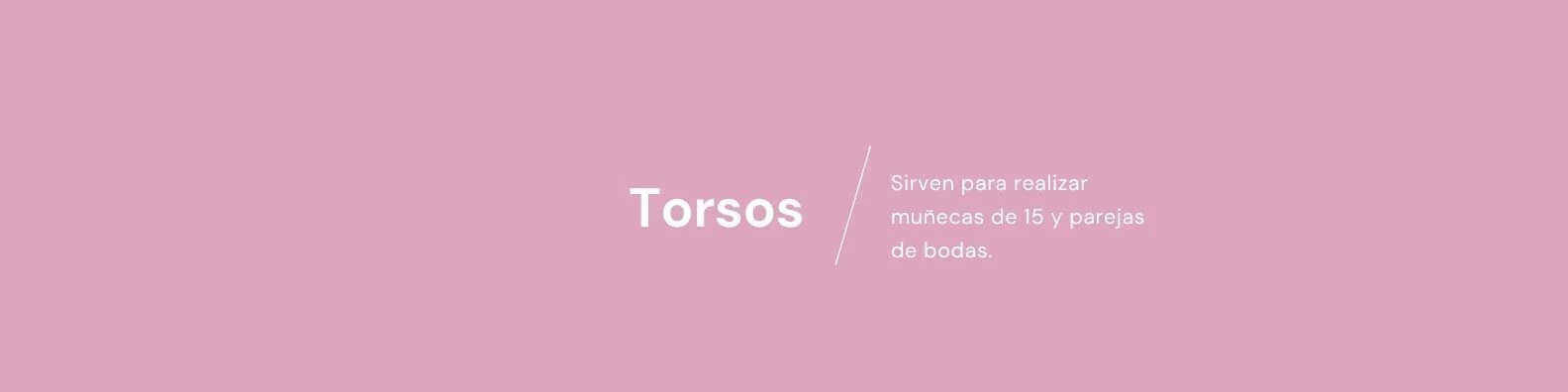 Banner de la categoría Torsos