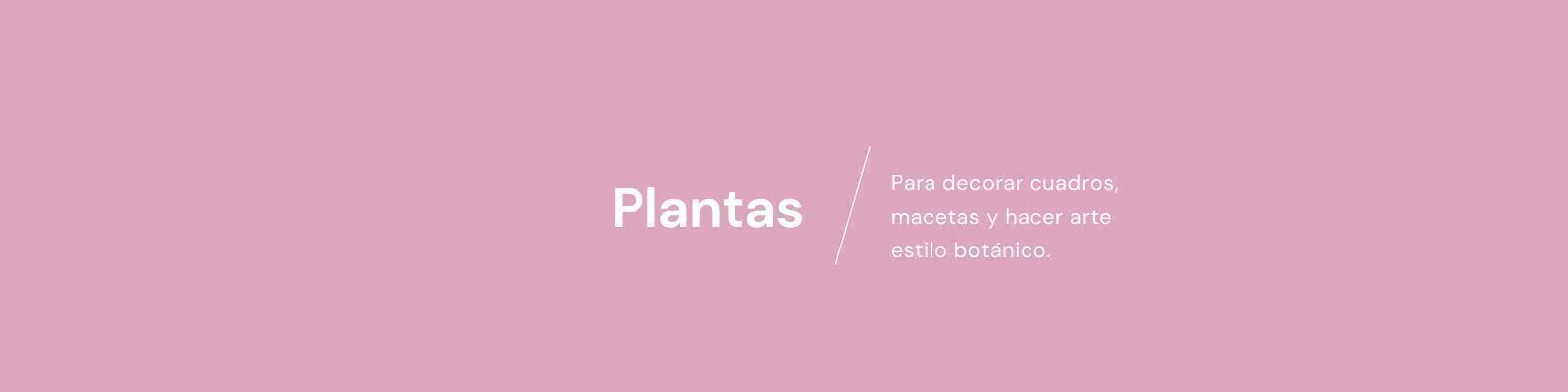 Banner de la categoría Plantas