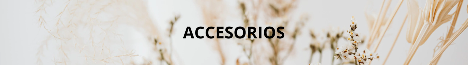 Banner de la categoría Accesorios