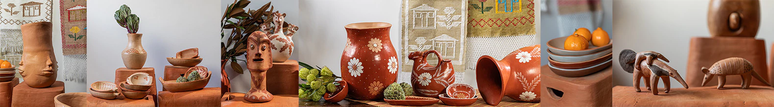 Banner da categoria COLEÇÃO NORTE DE MINAS E JEQUITINHONHA