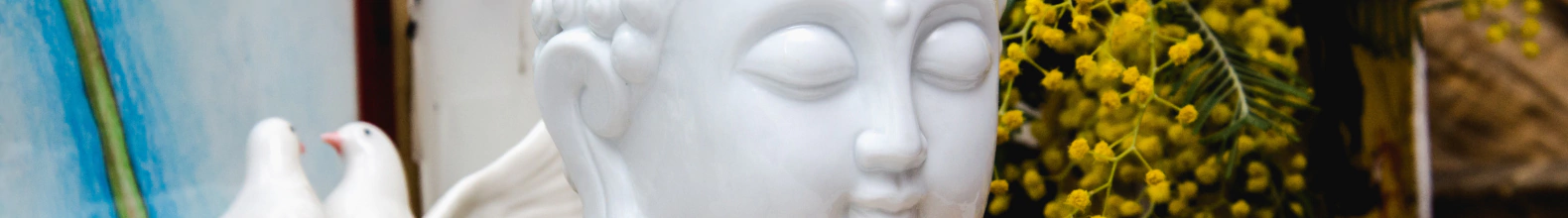 Banner da categoria Decoração