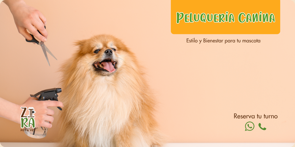 Peluquería Canina Zira Pet