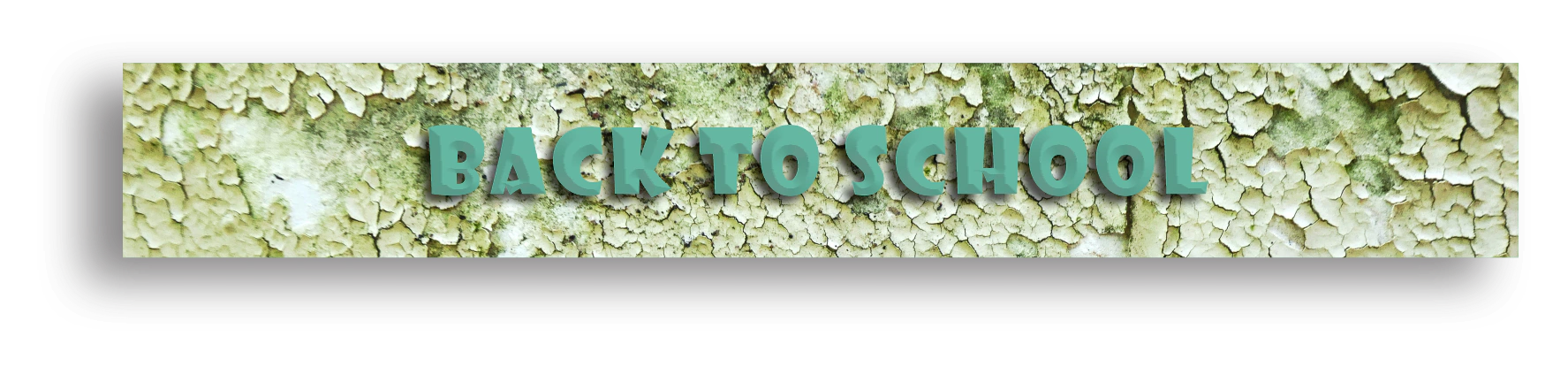 Banner de la categoría BACK TO SCHOOL