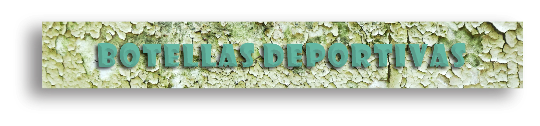 Banner de la categoría BOTELLAS DEPORTIVAS