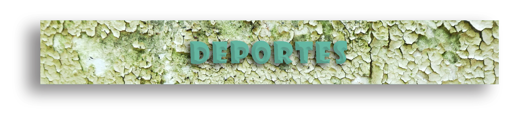 Banner de la categoría DEPORTES