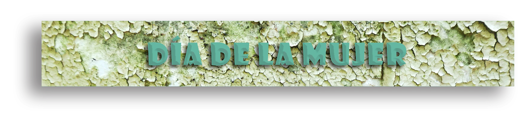 Banner de la categoría DÍA DE LA MUJER
