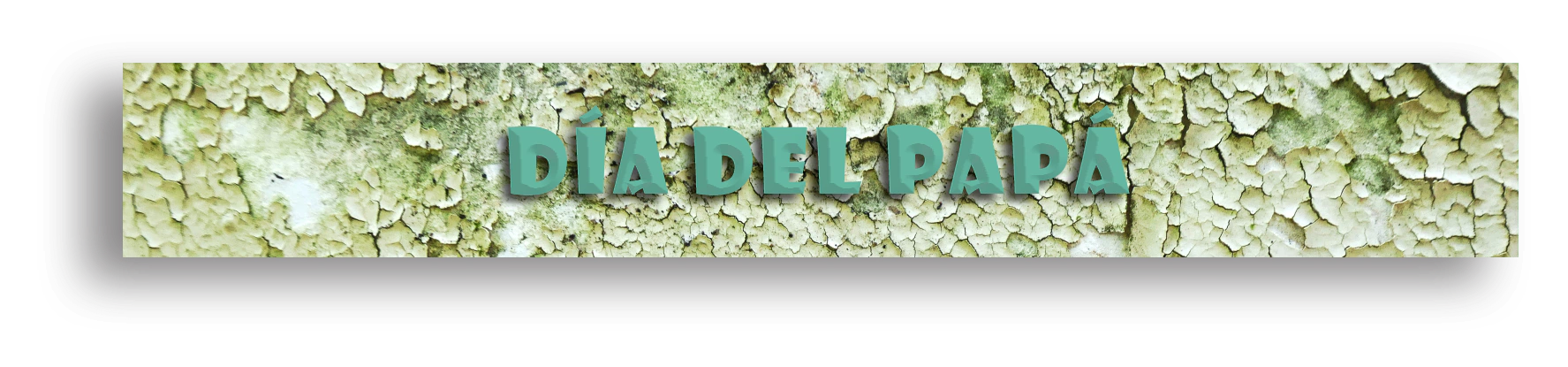 Banner de la categoría DÍA DEL PAPA