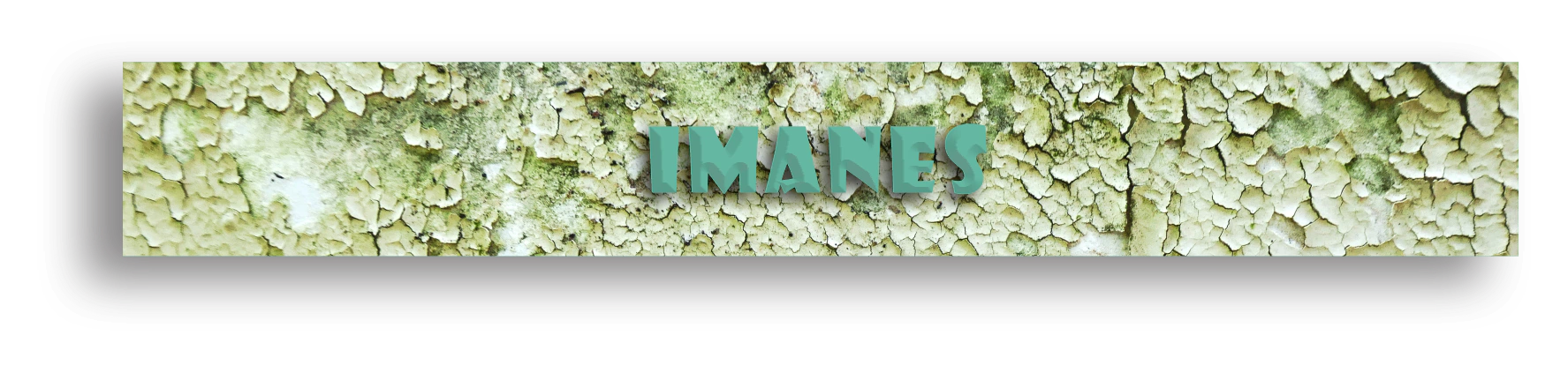 Banner de la categoría IMANES