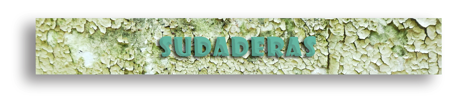 Banner de la categoría SUDADERAS