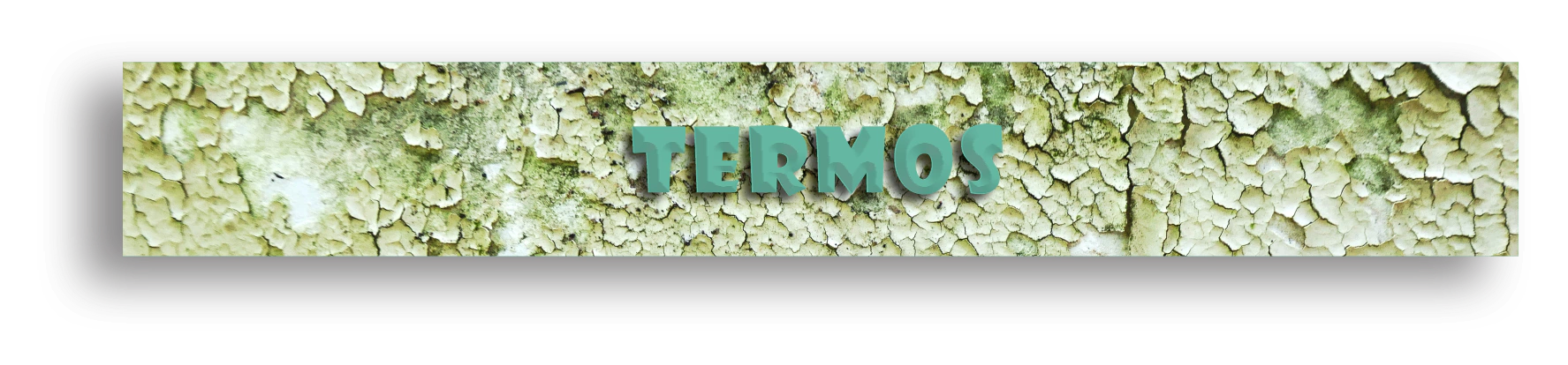 Banner de la categoría TERMOS