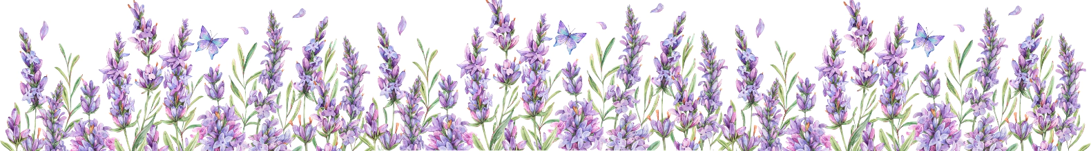 Banner da categoria Kits e Presentes