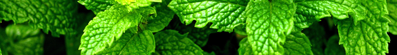 Banner da categoria Promoções