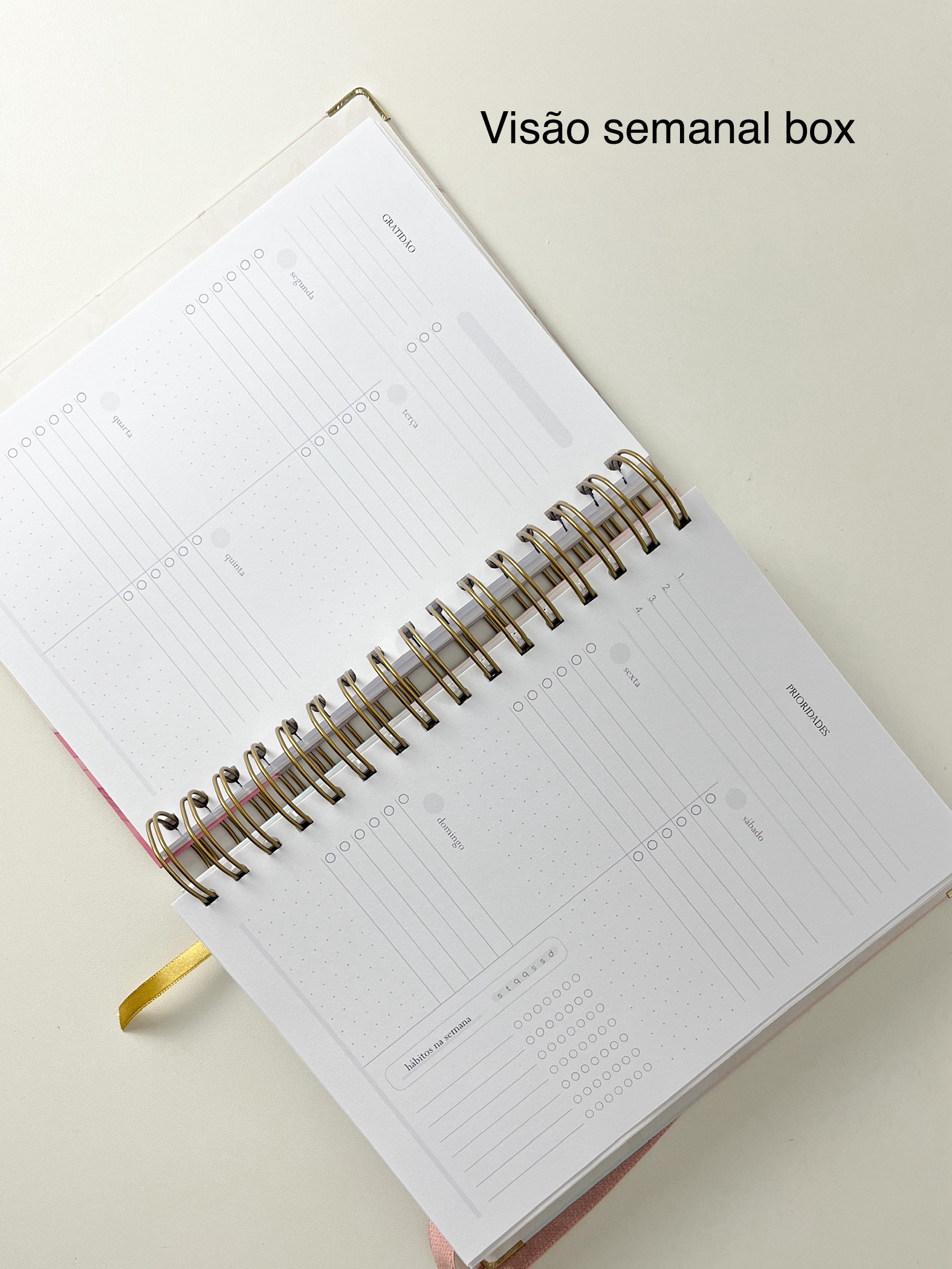 Planner Não Datado - Visão Box