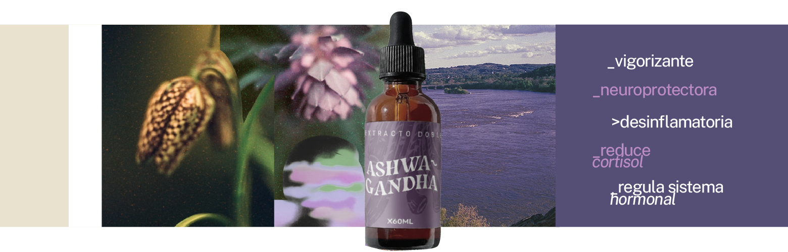 Extracto Ashwagandha TAURA
