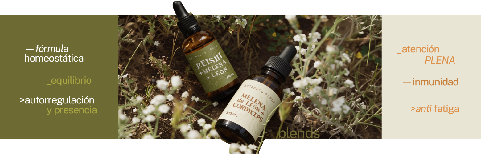 Blends TAURA