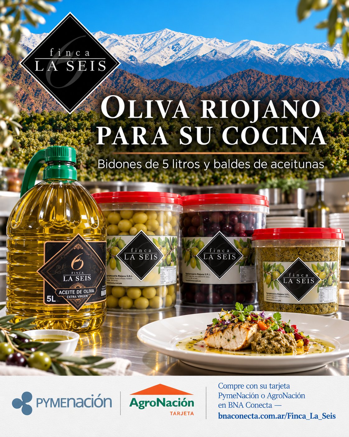 Finca La Seis - Aceite de oliva y aceitunas en formato cocina para gastronomía y hotelería