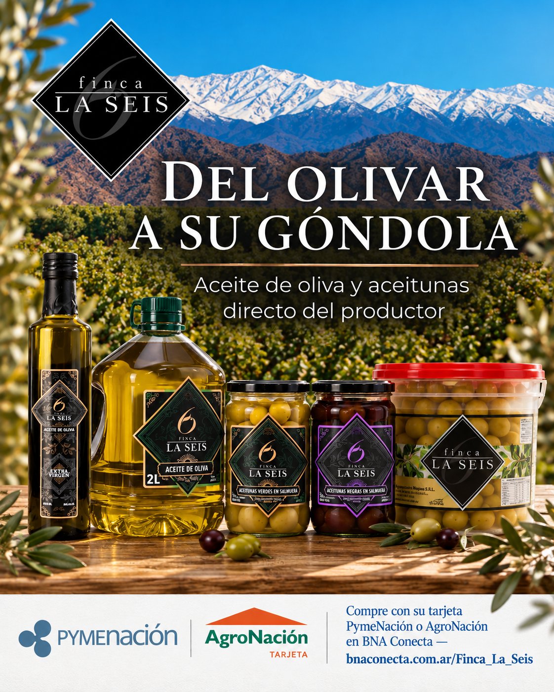 Finca La Seis - Aceite de oliva y aceitunas para distribuidoras y supermercados