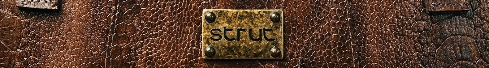 Banner da categoria Bolsas de Avestruz